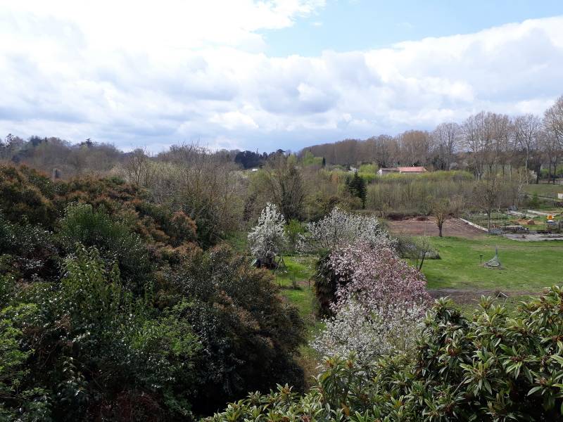 Appartement Carbonne (31390), Sud Toulouse centre ville, proche commerces Appartement type 2 rez-de-chaussez