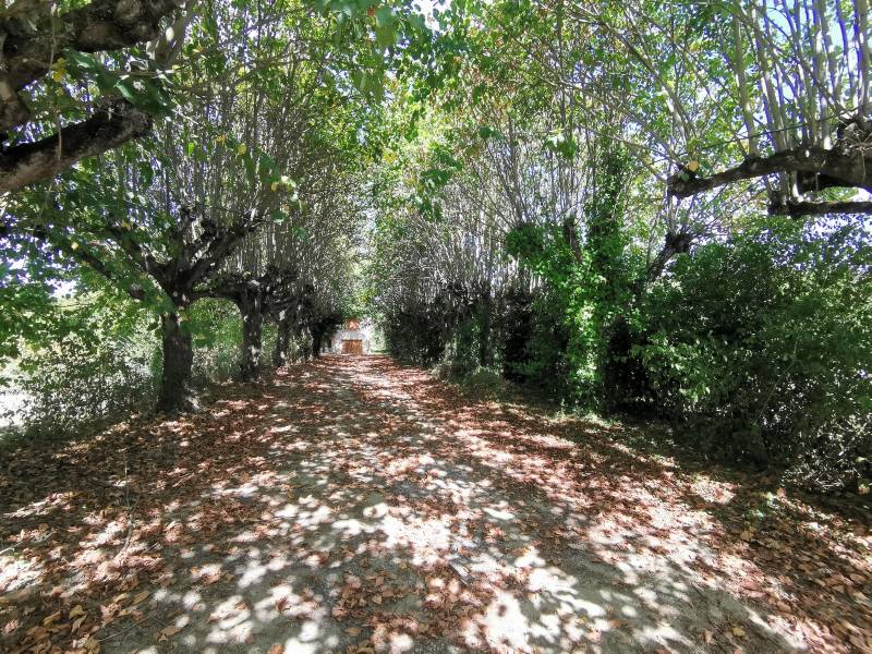 Maison Carbonne (31390) , Sud Toulouse Proche centre et écoles Maison type 4 avec garage et jardin