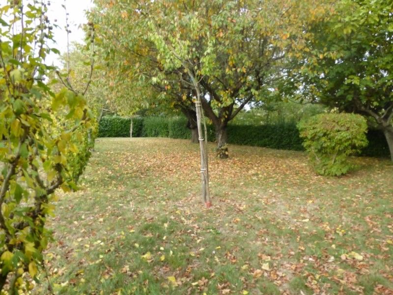 Maison avec agréable jardin clos